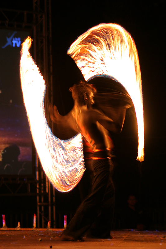 IMG_0232b.jpg